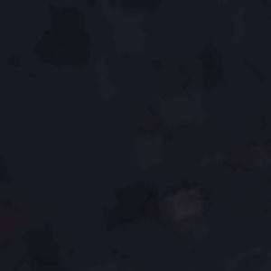 Meet your Posher, Echo